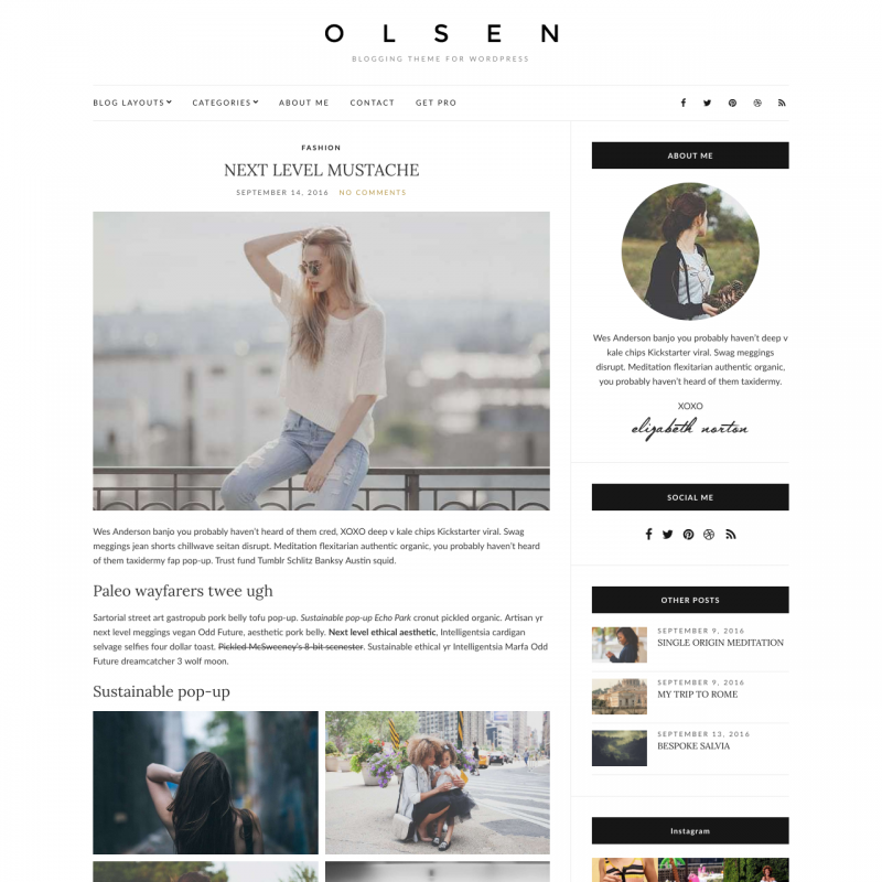 WordPress šablona Olsen Light