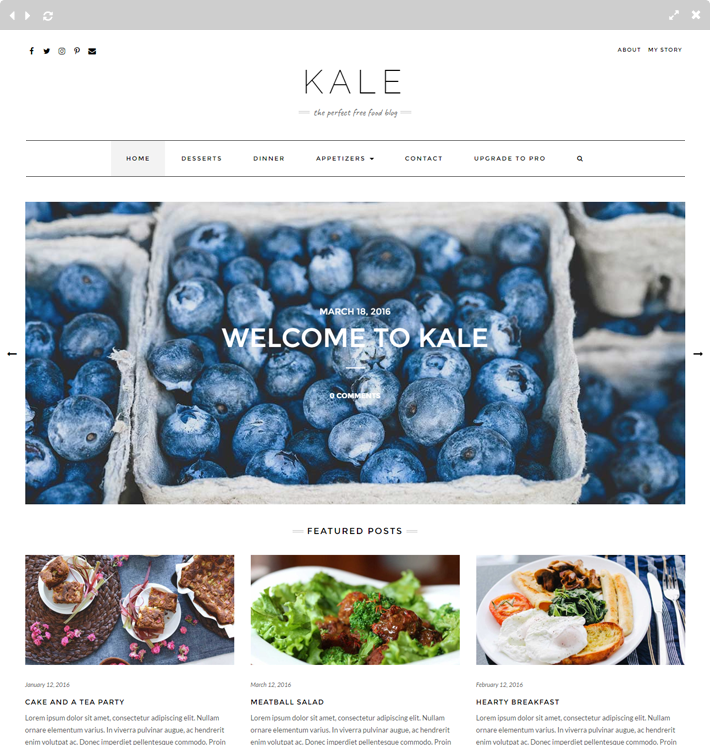 WordPress šablona Kale